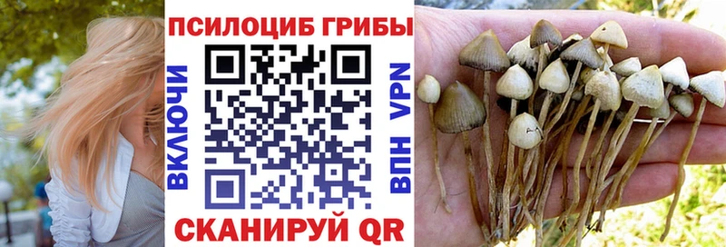 Псилоцибиновые грибы MAGIC MUSHROOMS  Бугуруслан 